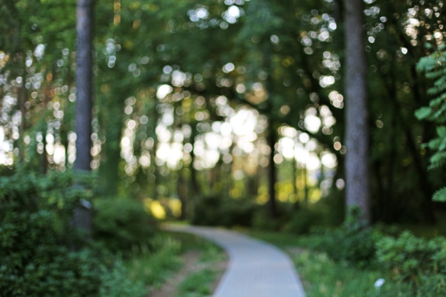 Protect Your Business with Clear, Enforceable Agreements Protect Your Business with Clear, Enforceable Agreements