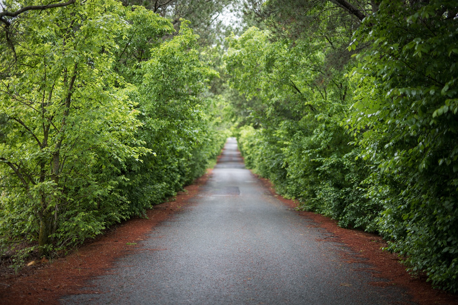 Work With an Atlanta M&A Attorney Who Understands Small Business